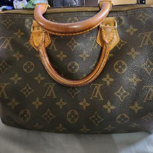 Louis vuitton brown speedy bag